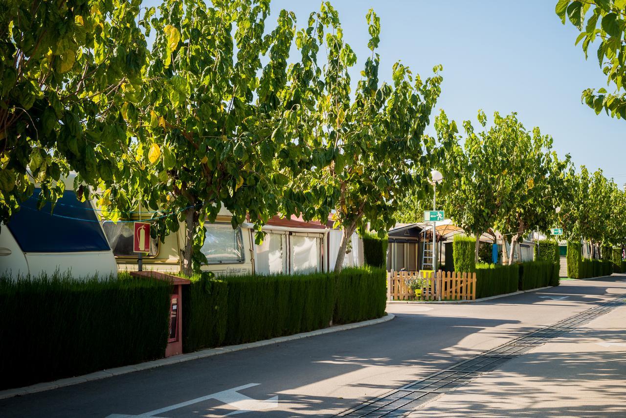 Campsite Camping Raco Benidorm